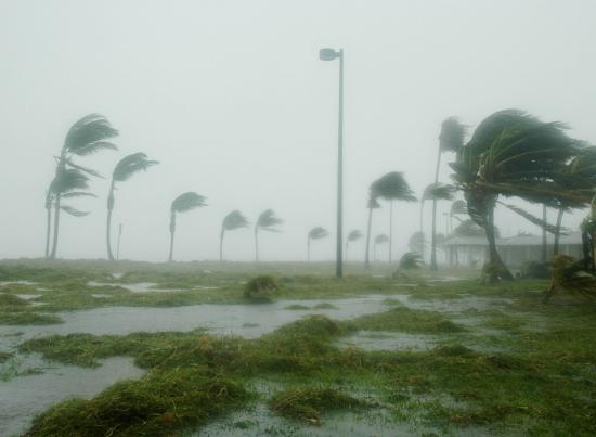 How to Prepare for Hurricane Season
