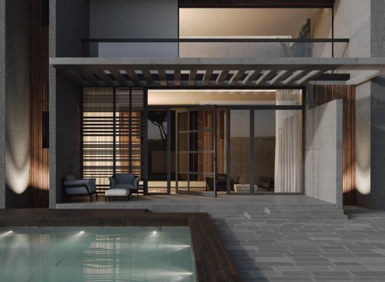 Pivot Doors: Modern Luxury