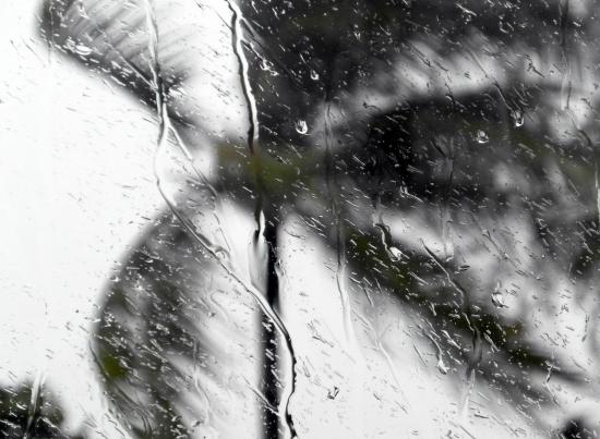 Do Hurricane Impact Windows Reduce Insurance?